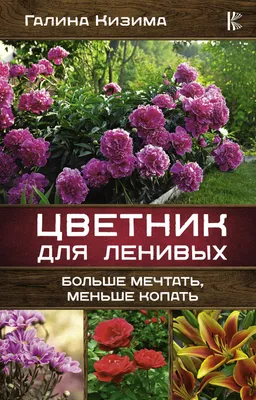 Цветники для ленивых. Простые композиции для любого уголка сада. Кизима  Г.А. купить оптом в Екатеринбурге от 928 руб. Люмна