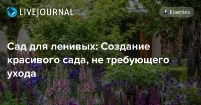 Гарденмарт. Семена Саженцы Казахстан on Instagram: \"«Ленивый» сад. Как  создать малоуходную клумбу? ⠀ Сад, который прекрасно растёт сам по себе, -  заветная мечта любого садовода! 😇 Есть идея, как ее исполнить: создать «