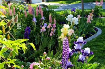 ЛЕНИВЫЙ САД. ДЕЛИМСЯ ОПЫТОМ. An unpretentious garden. - YouTube
