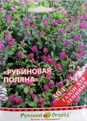 Сад и огород для разумно ленивых Полная инструкция, как меньше копать, но  урожа