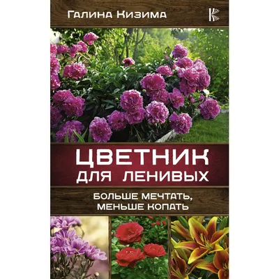 Ленивый» декоративный сад