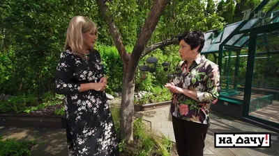 На дачу! С Наташей Барбье. Елена Проклова