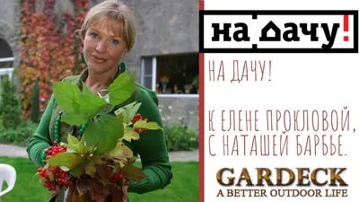 Проклова рассказала о дешево купленном жилье в Сочи: Дом: Среда обитания:  Lenta.ru