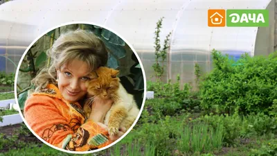 Третий муж актрисы Елены Прокловой стал пить после известия о разводе -  Новости Сочи