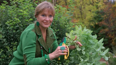 В гостях у Елены в коллекционном саду кустарников 🌿🌿🌿🌲🌲🌲💐walk in a  beautiful garden - YouTube