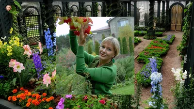 Елена Проклова продала квартиру из-за долгов: у актрисы осталась элитная  недвижимость в Сочи и Москве за 60 миллионов