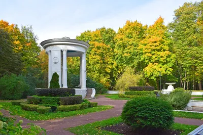 Как сделать свой сад красивым своими руками, фото дизайна сада | Houzz  Россия
