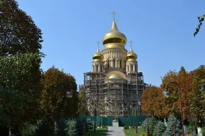 Сад гигант славянск на кубани (66 фото) »