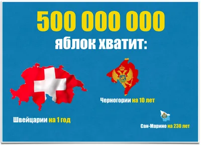 Из прошлого - в настоящее