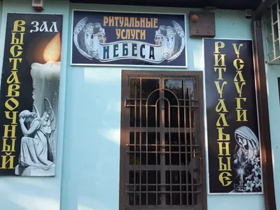 Сад-гигант на Кубани – это самый большой фруктовый сад в Европе (он в 15  раз больше государства Монако) | Побег из Курятника | Дзен