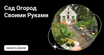 Всем привет! ❤❤❤ Как вам наша... - САД ОГОРОД СВОИМИ РУКАМИ� | Facebook