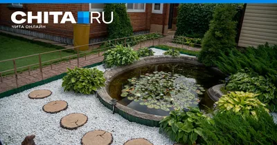 Красивый огород своими руками: стильные грядки — это просто — Roomble.com
