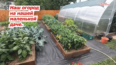 Огород своими руками. | Валерий Колухин | Дзен