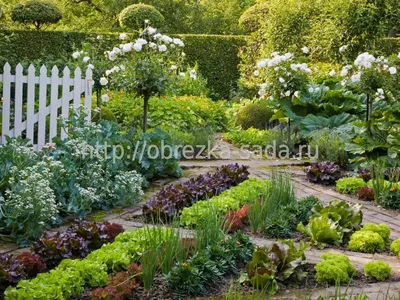 Garden, do it yourself. - YouTube