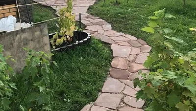 Фото декоративного огорода