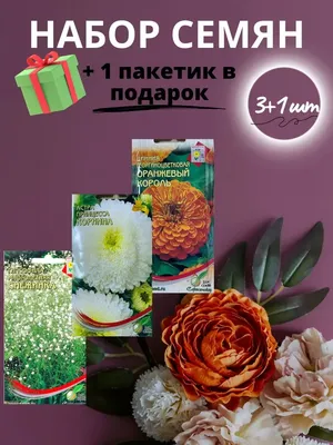 Солнцелюбивые растения для сада: многолетние и однолетние цветы, кустарники  и деревья | Houzz Россия