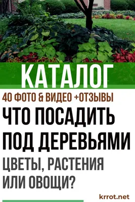 Сад, огород - кормилец и лекарь №2 февраль 2022 читать онлайн журнал