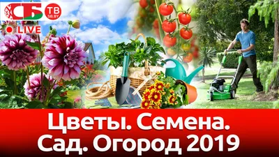 Огород и сад на балконе для начинающих своими руками: как сделать домашний  мини огород или посадить цветы на балконе дома - Дом и уют - Журнал Домклик