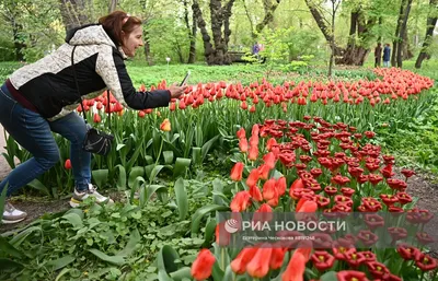 Елена сад огород цветы рецепты | ВКонтакте