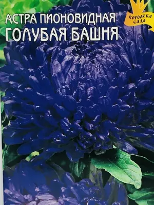 Огород В Конце Лета. Травы, Цветы И Овощи В Заднем Дворе Формального Сада.  Экологически Чистое Садоводство Фотография, картинки, изображения и  сток-фотография без роялти. Image 69522591