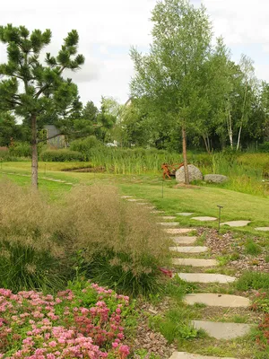 Houzz Белоруссия: Сад в тумане | Houzz Россия