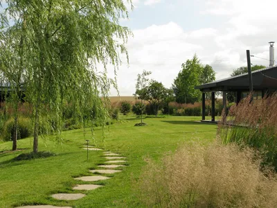 Houzz Белоруссия: Сад в тумане | Houzz Россия