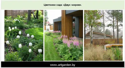 Ландшафтная философия Юлии Тадеуш - Журнал Хозяин