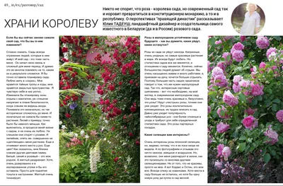 Houzz Белоруссия: Сад в тумане | Houzz Россия