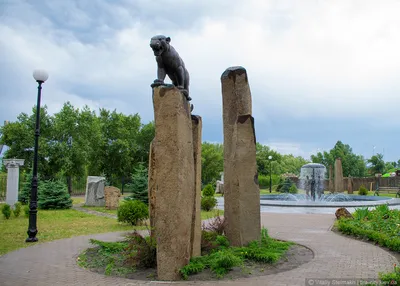 Сад камней в городе \"Владивосток\"