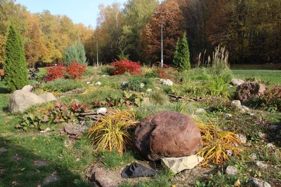 Сад камней | Zen rock garden, Japanese garden landscape, Rock garden  landscaping