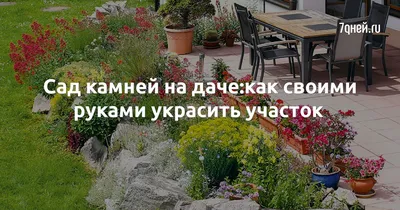 https://76.ru/text/spring/2023/04/27/72246212/
