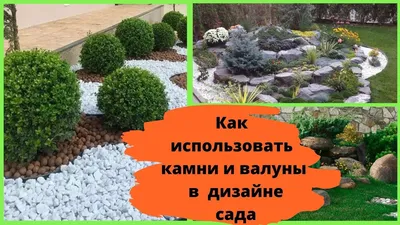 Сад Камней на даче: зачем, как и для чего? | Магазинная душа (Чем богаты,  тем и рады!) | Дзен
