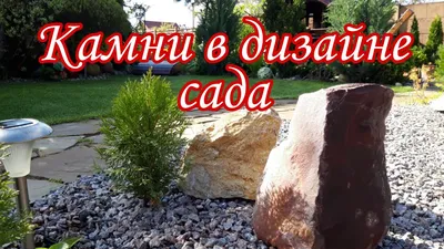 Создаем настольный сад камней: советы, идеи и фото