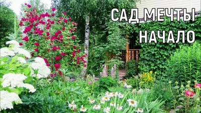Сад мечты