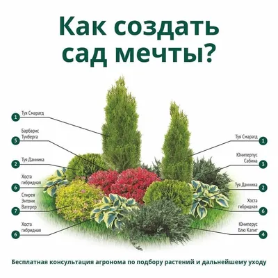Как создать сад мечты? Часть 1 | WONDERPARK Современные дома | Дзен