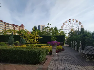 Сады Мечты» Красноярск
