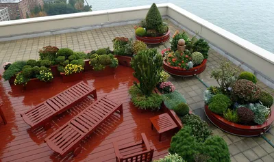 Сад на крыше. Атмосфера Средиземноморья | TERRADECK
