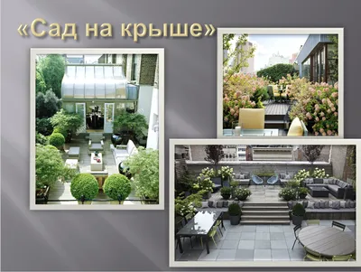 Сад на крыше фото фото