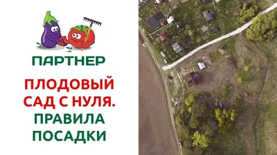 Ландшафтный дизайн участка 12 соток для отдыха и дачного участка