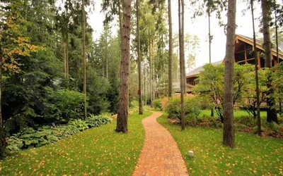 СТИЛЬНЫЙ ЛАНДШАФТНЫЙ ДИЗАЙН ДАЧНОГО УЧАСТКА | Royal Forest