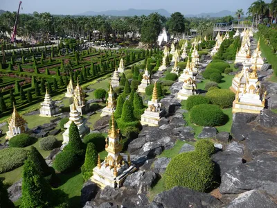 Тропический сад Нонг Нуч (Nong Nooch)