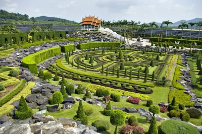 Тропический сад Нонг Нуч в Таиланде: фото, цены, как добраться