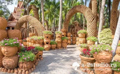 Тропический ботанический сад Нонг Нуч (Nong Nooch Tropical Botanical  Garden) | ботанический сад, собрание миниатюрных деревьев бонсаи, парк  орхидей | Паттайя | Таиланд