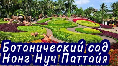 🌴 Тропический сад «Нонг Нуч» в Паттайе 🌴 . 🐘Около 250 га ботанических  садов (а это не на шутку почти 350 футбольных полей!), автопарк с… |  Instagram