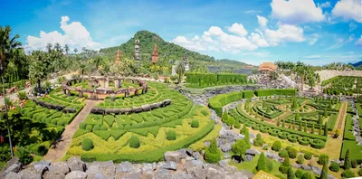 Карта сада Нонг Нуч (Nong Nooch) в Паттайе на русском языке | Карта, Паттайя,  Тропический сад