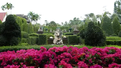 Тропичесий сад Нонг Нуч ВИП — Sabai Pattaya