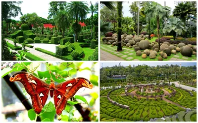 Нонг Нуч Тропический Парк (Паттайя, Таиланд) - авторский обзор, часы  работы, цены, фото | Коллекция Кидпассаж