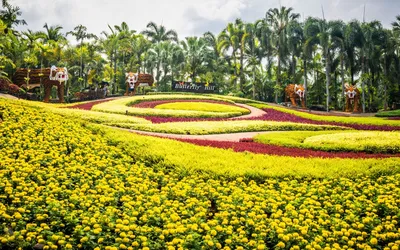 Файл:Сад Нонг Нуч (Паттайя, Таиланд). Французский парк. 03.jpg — Википедия