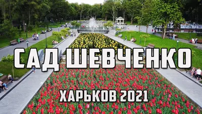 Арка влюбленных, лабиринт, каскад озер: реконструкция в саду Шевченко  подходит к концу - Харьков Vgorode.ua