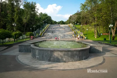 Новый сад в Харькове - в центре города открыли масштабный сад - новости  Харькова - Новости Харькова | Сегодня